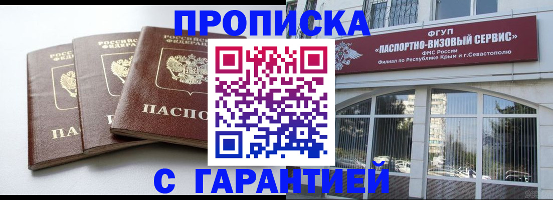 прописка в Ельне
